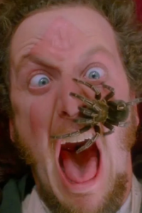 Home Alone